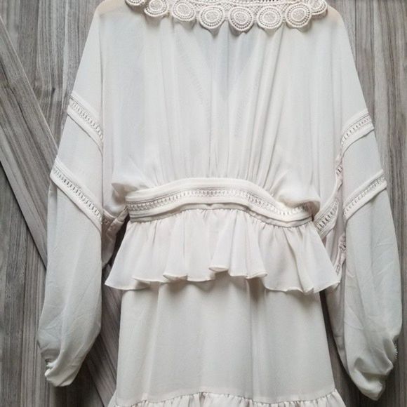 Shona Joy Rafaella Plunge-Neck Long-Sleeve Frill Sheer Mini Dress - Picture 10 of 16